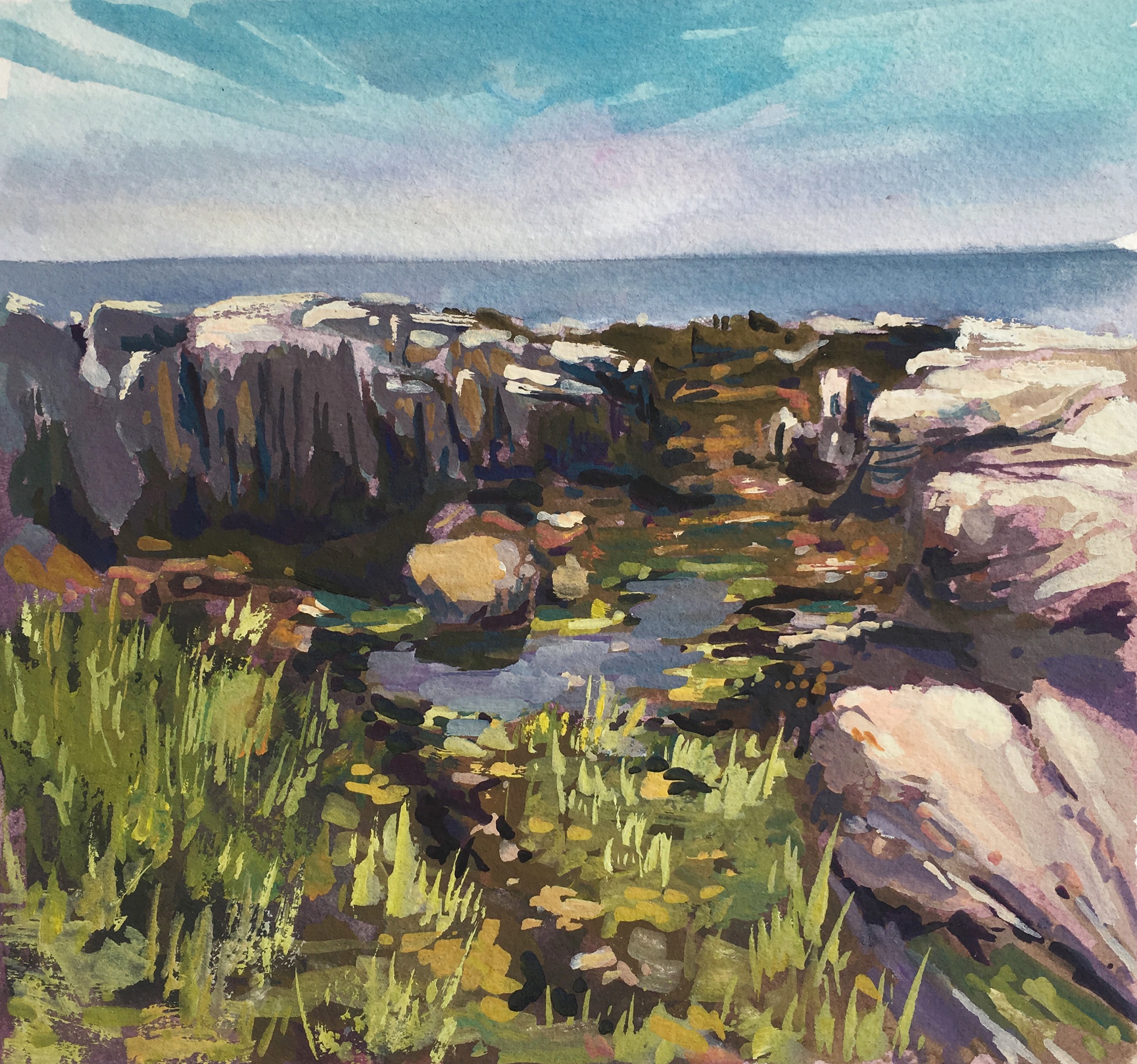 Larus Ledge, gouache on paper, 8x8”, 2019