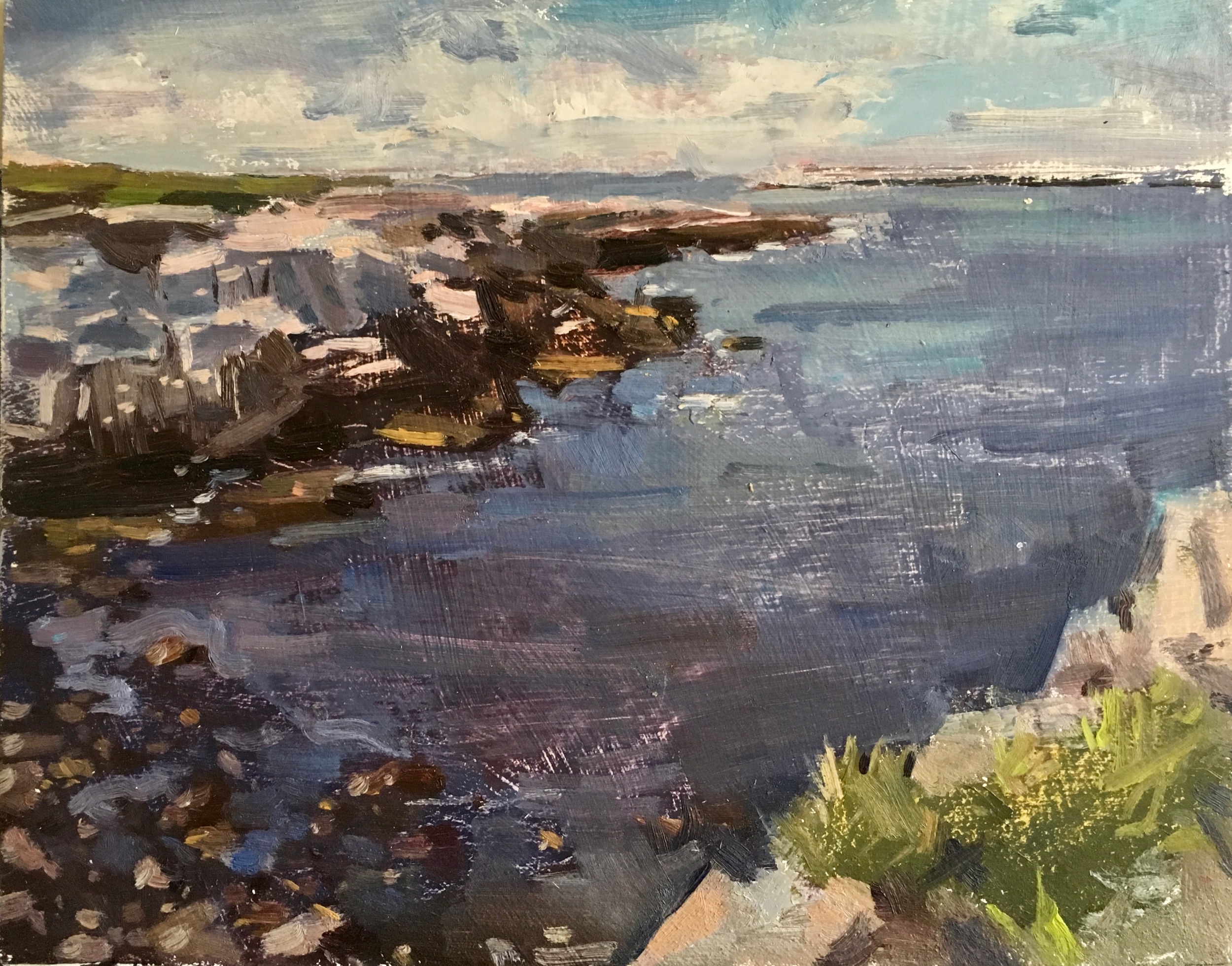Broad Cove, oil on panel, 8x10”, 2019