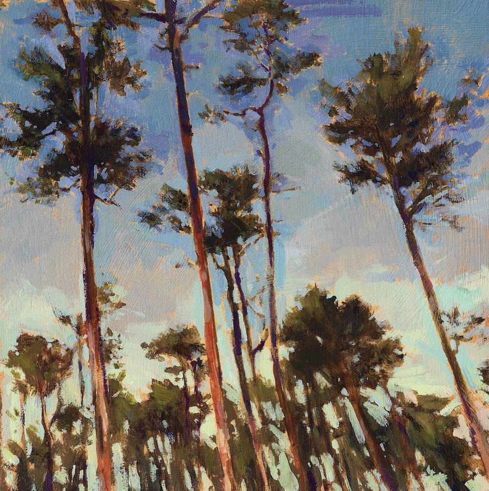 Evening Pines,  acrylic on panel, 8x8"