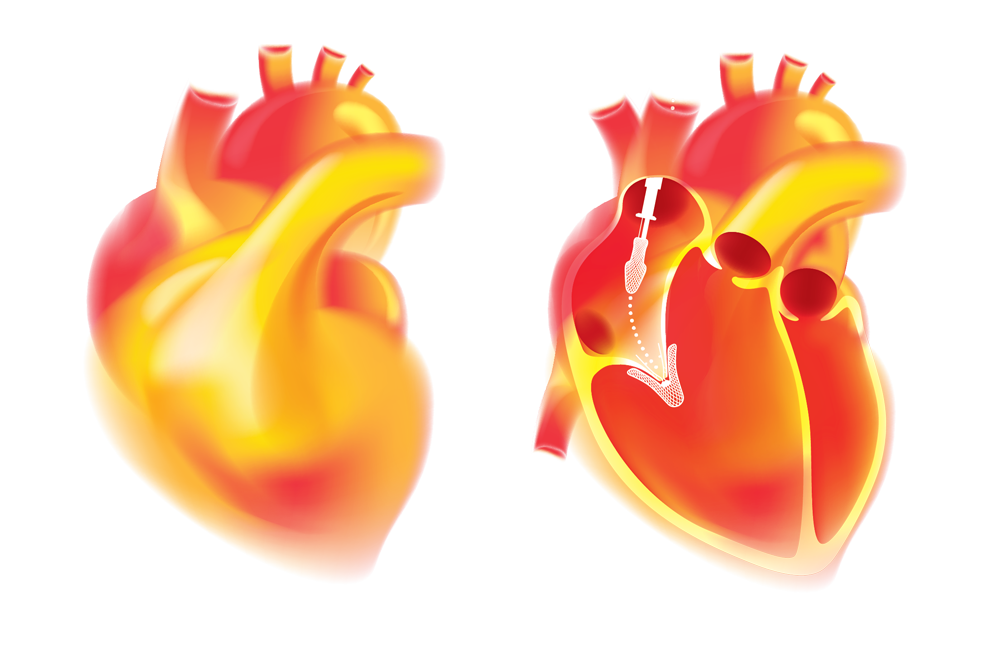 heart-illustrations.png