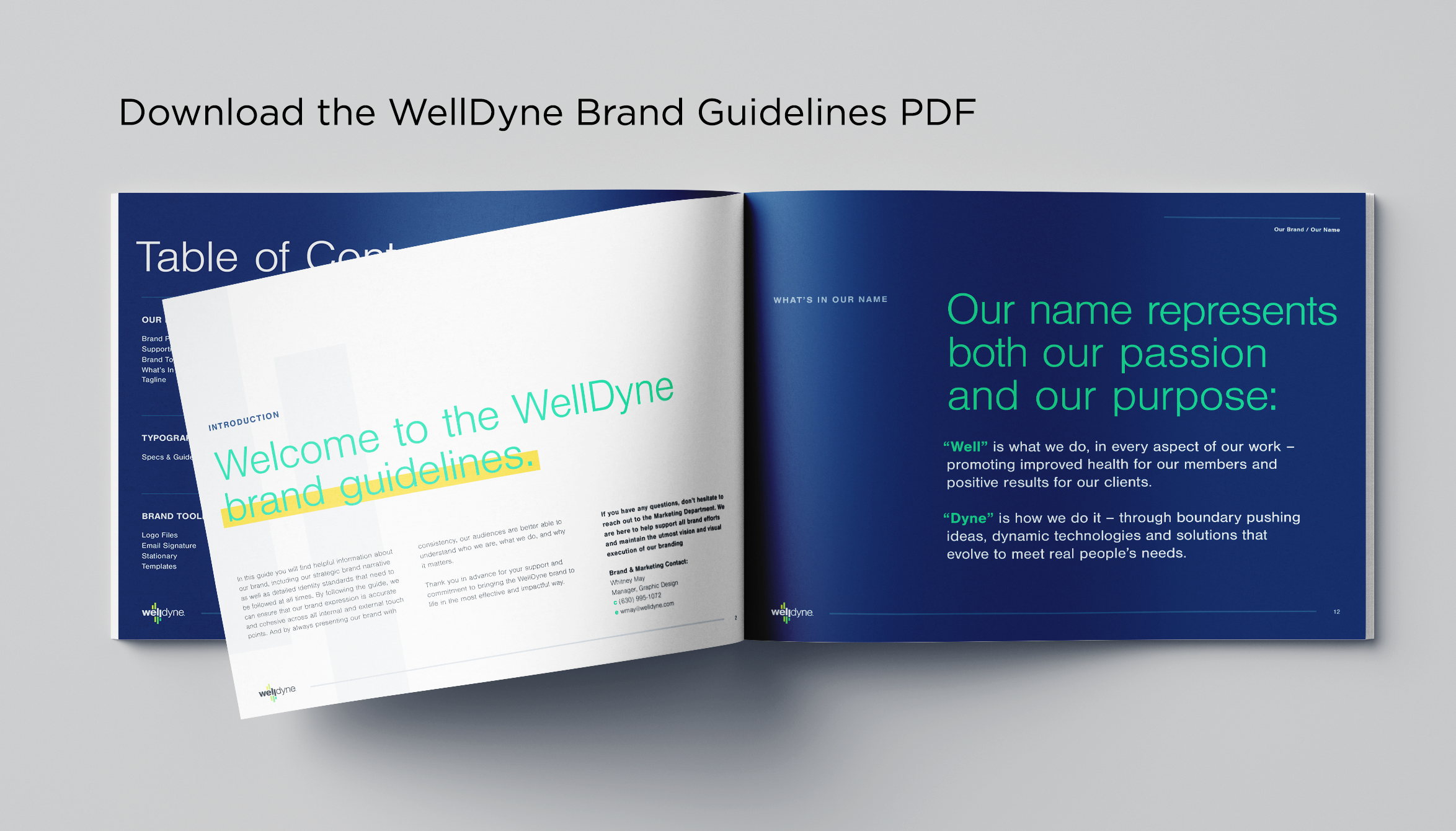 WellDyne Brand Guidelines