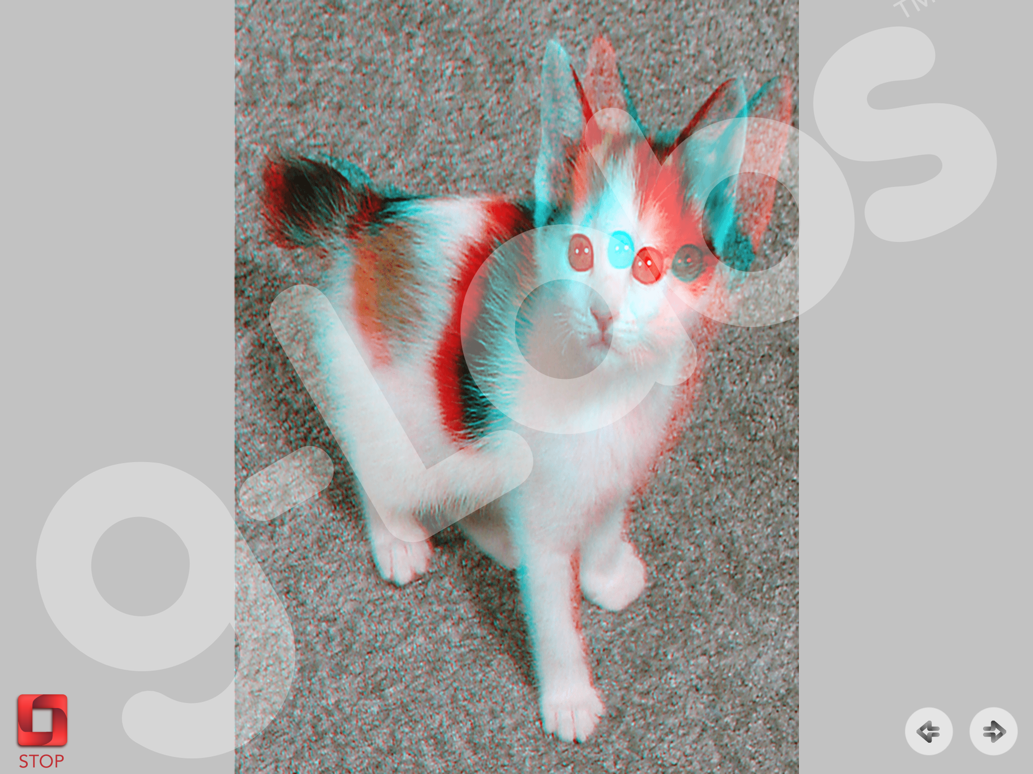 IMG_0407.png