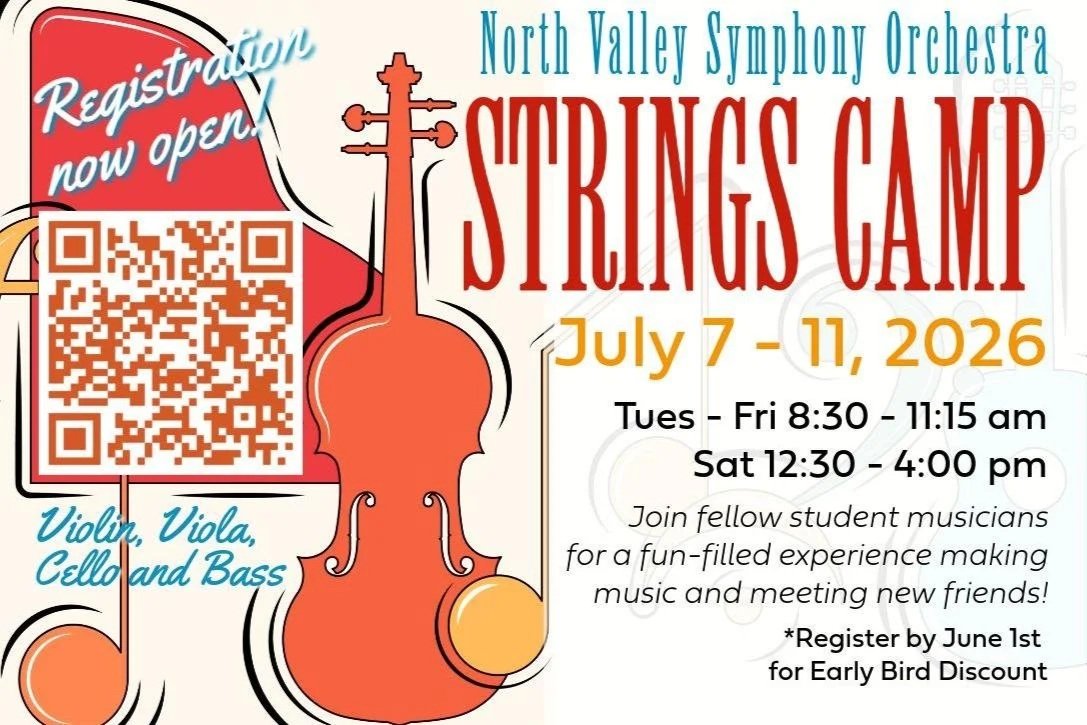 NVSO Summer Strings Camp