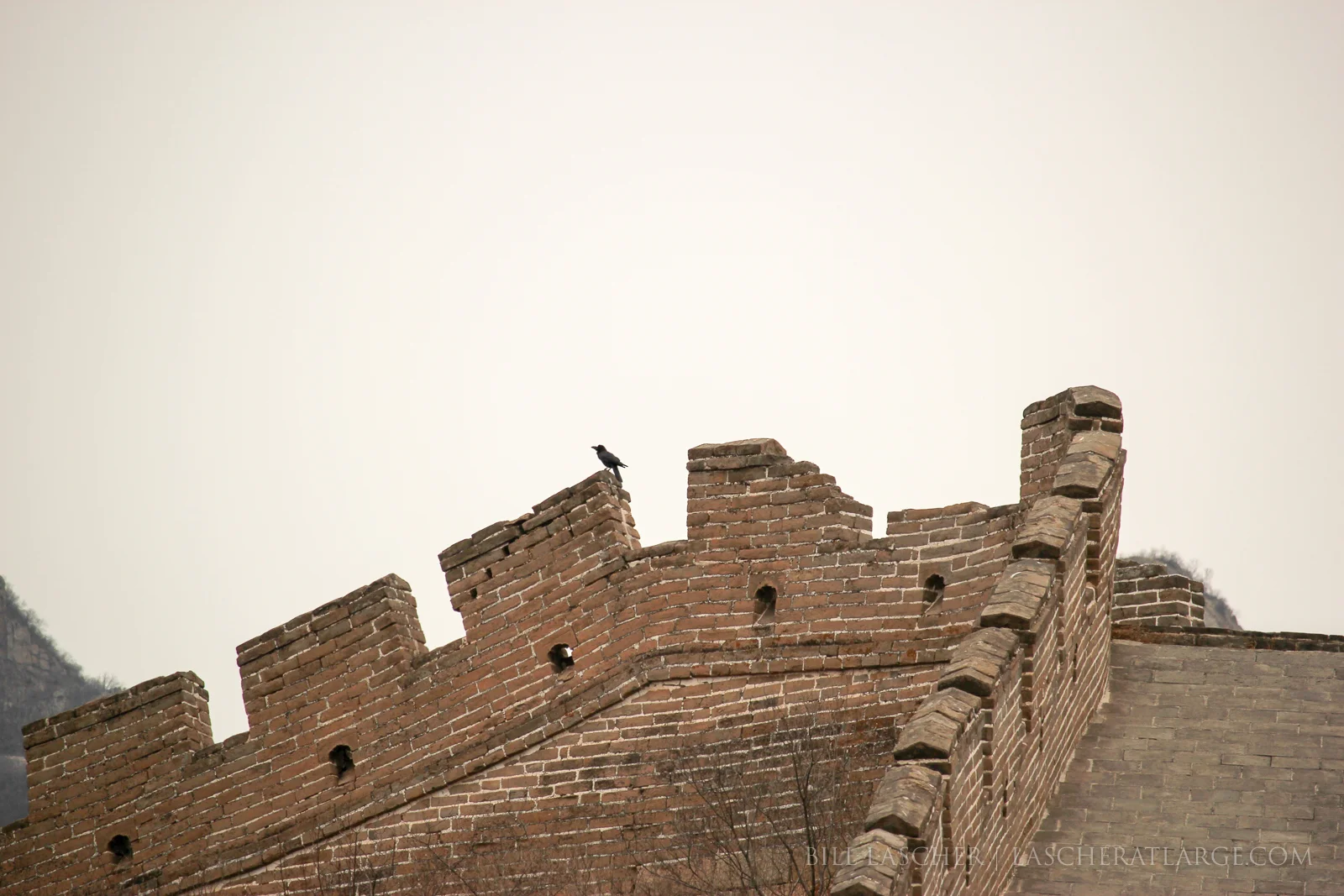 Great Wall and Crow