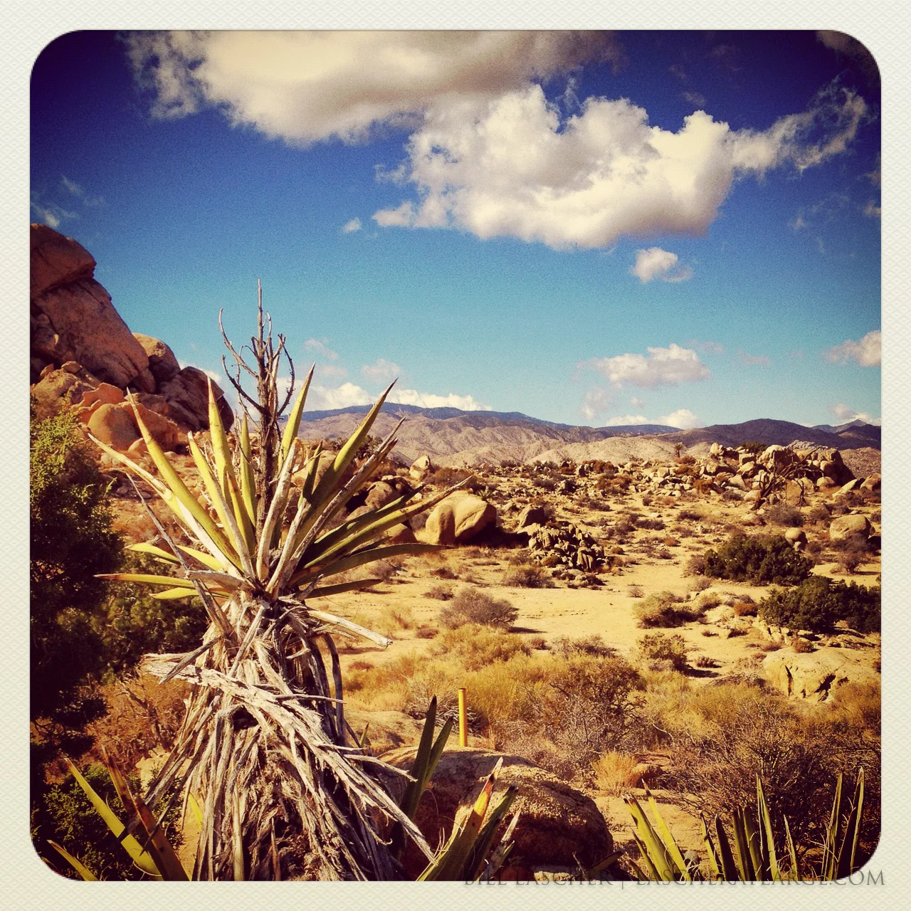 Desert House Vista