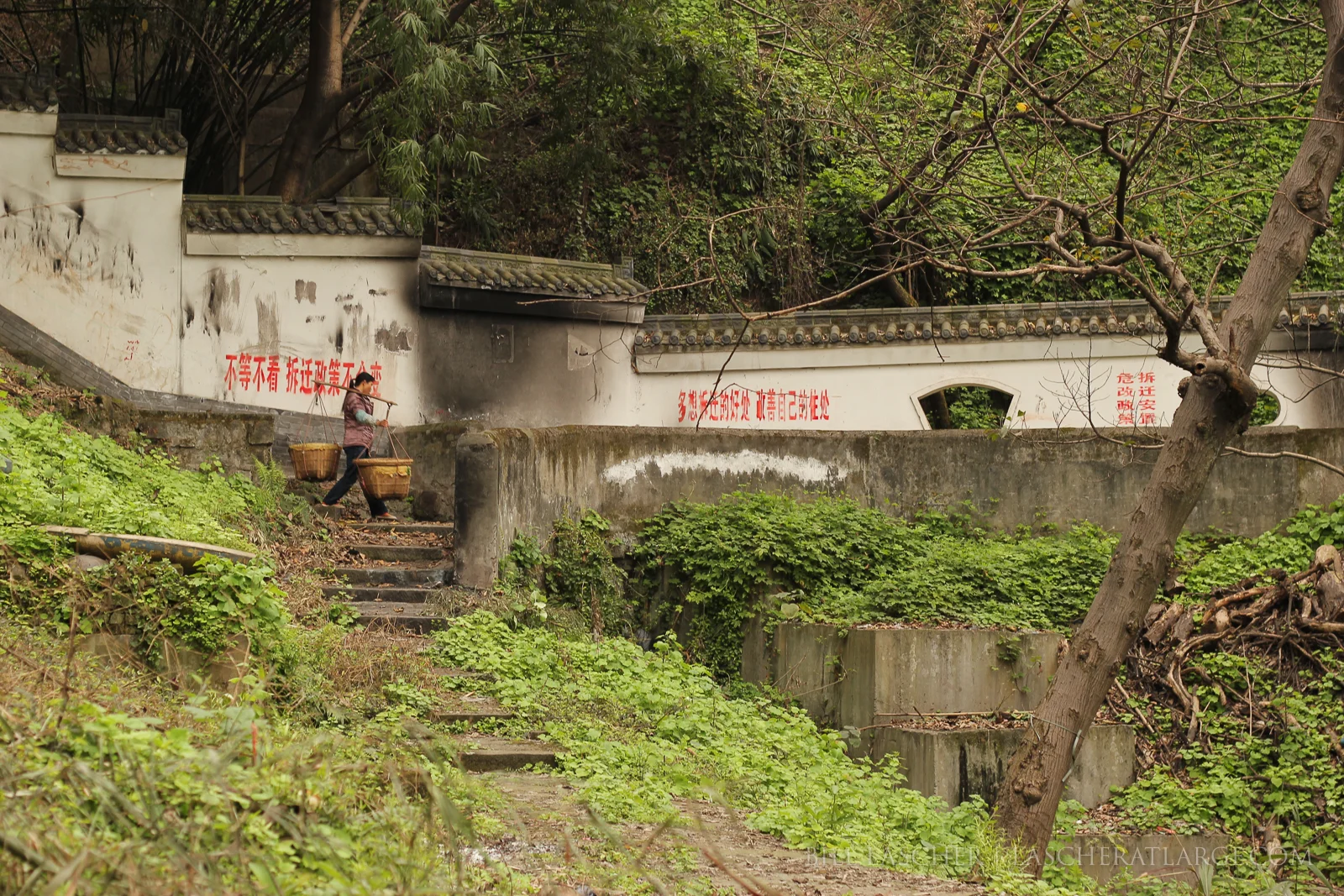 Chongqing Cargo