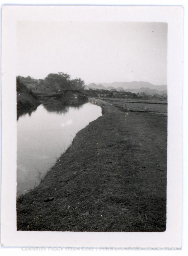 Water and Fields With Chan Family Compound in Distance.jpg