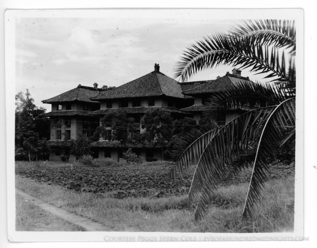 Lingnan Campsu Building Beyond Palm Tree.jpg
