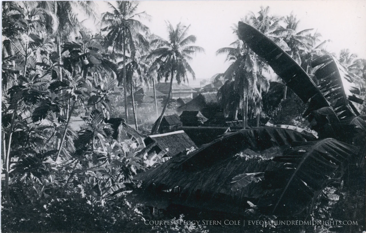 Philippines village through palm trees.jpg