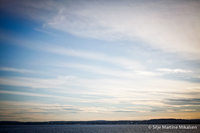 _MG_3344.jpg
