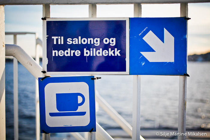 _MG_3358.jpg