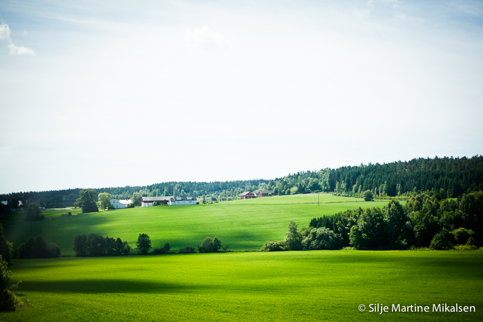 _MG_3319.jpg