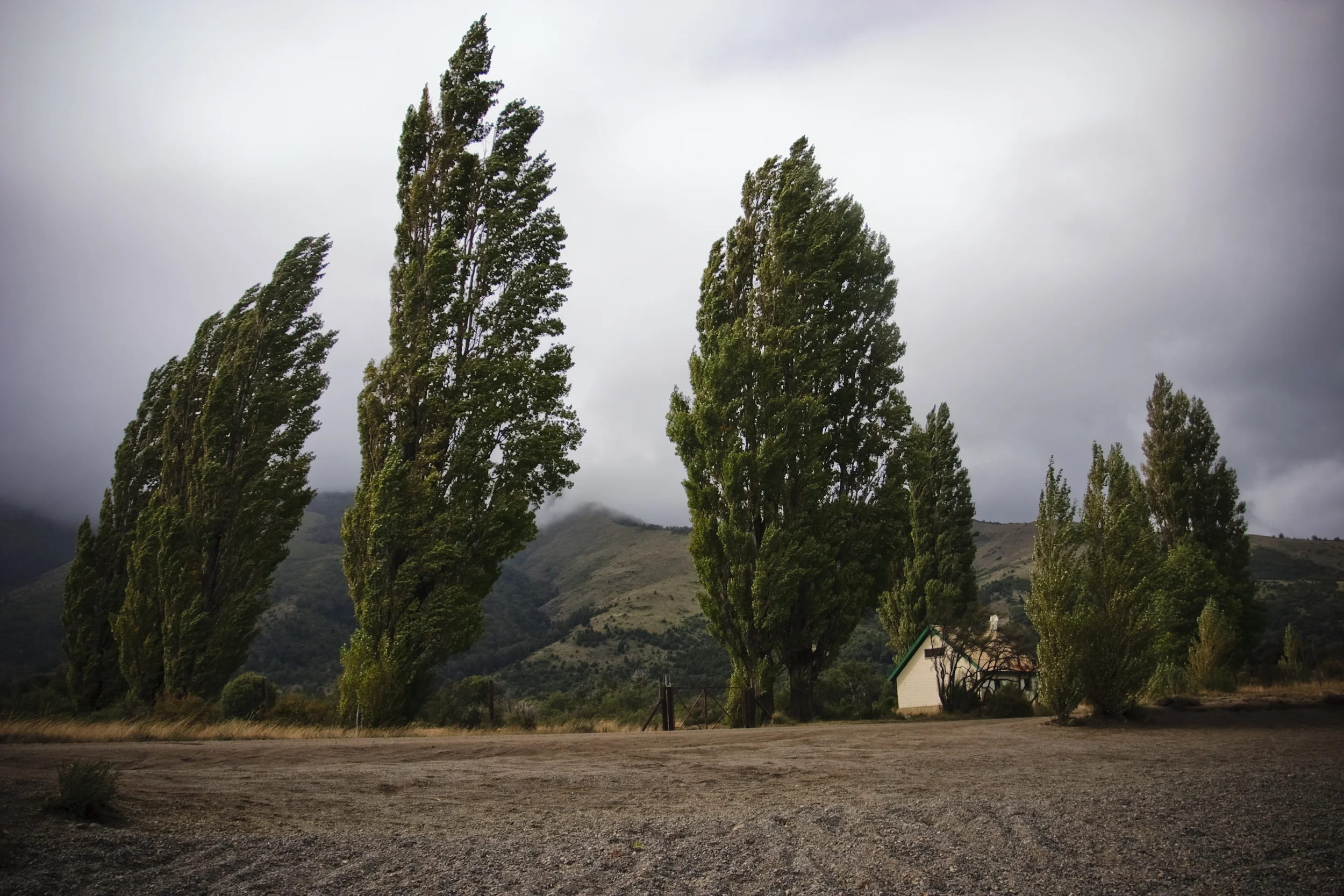 Neuquen, Argentina 2009.