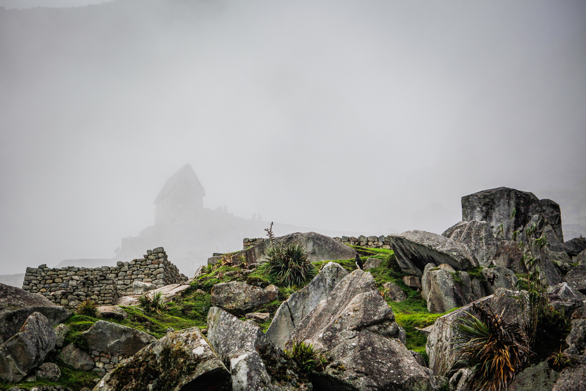  Inca ruins in the fog, Machu Picchu, Peru 2010. 