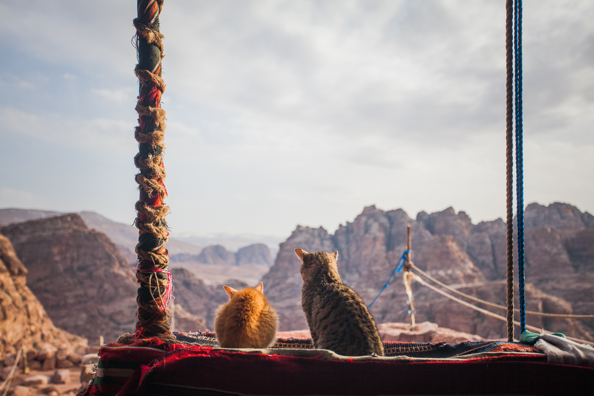 Petra, Jordan 2015.
