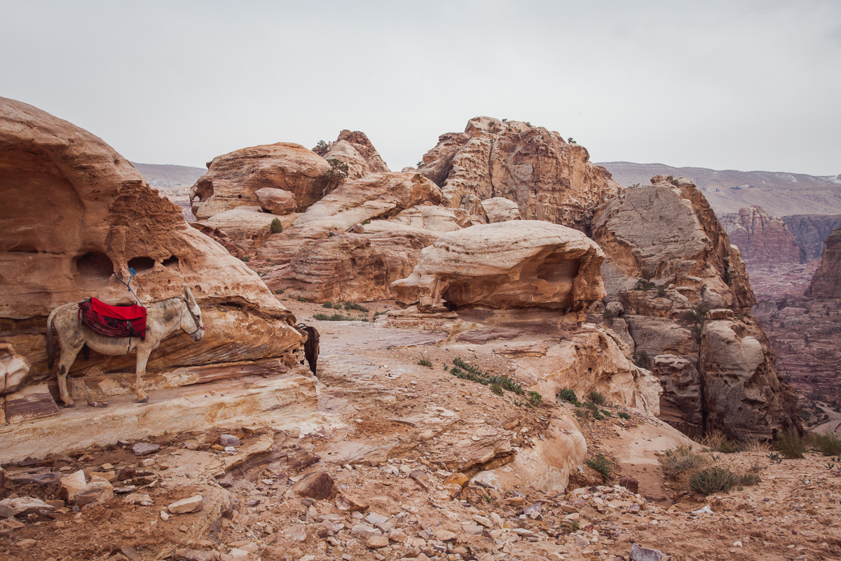 Petra, Jordan 2015.