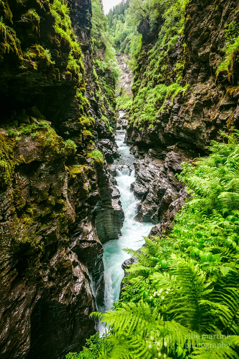 Bordalsgjelet gorge in Voss.