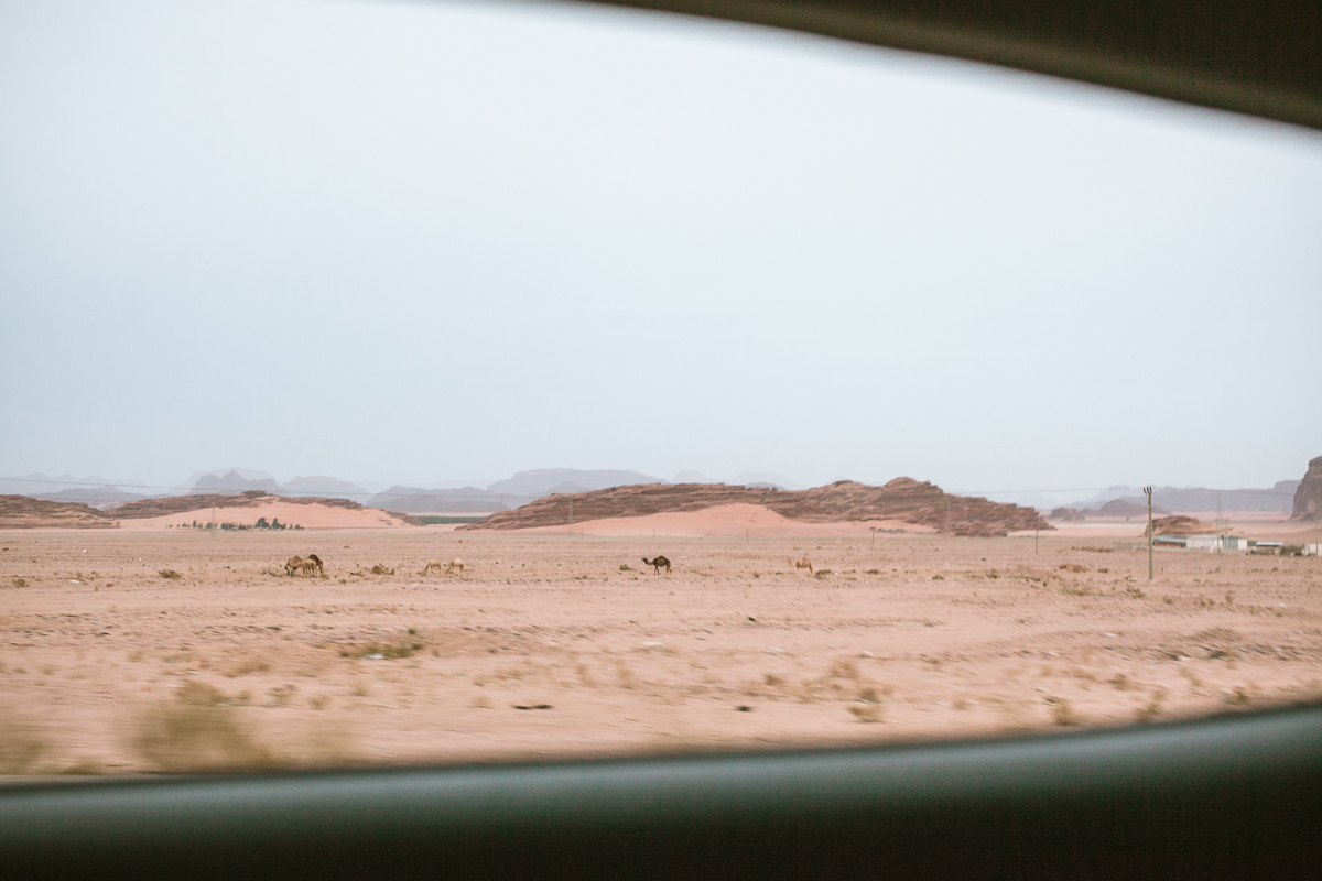  Taxi view, Jordan. 