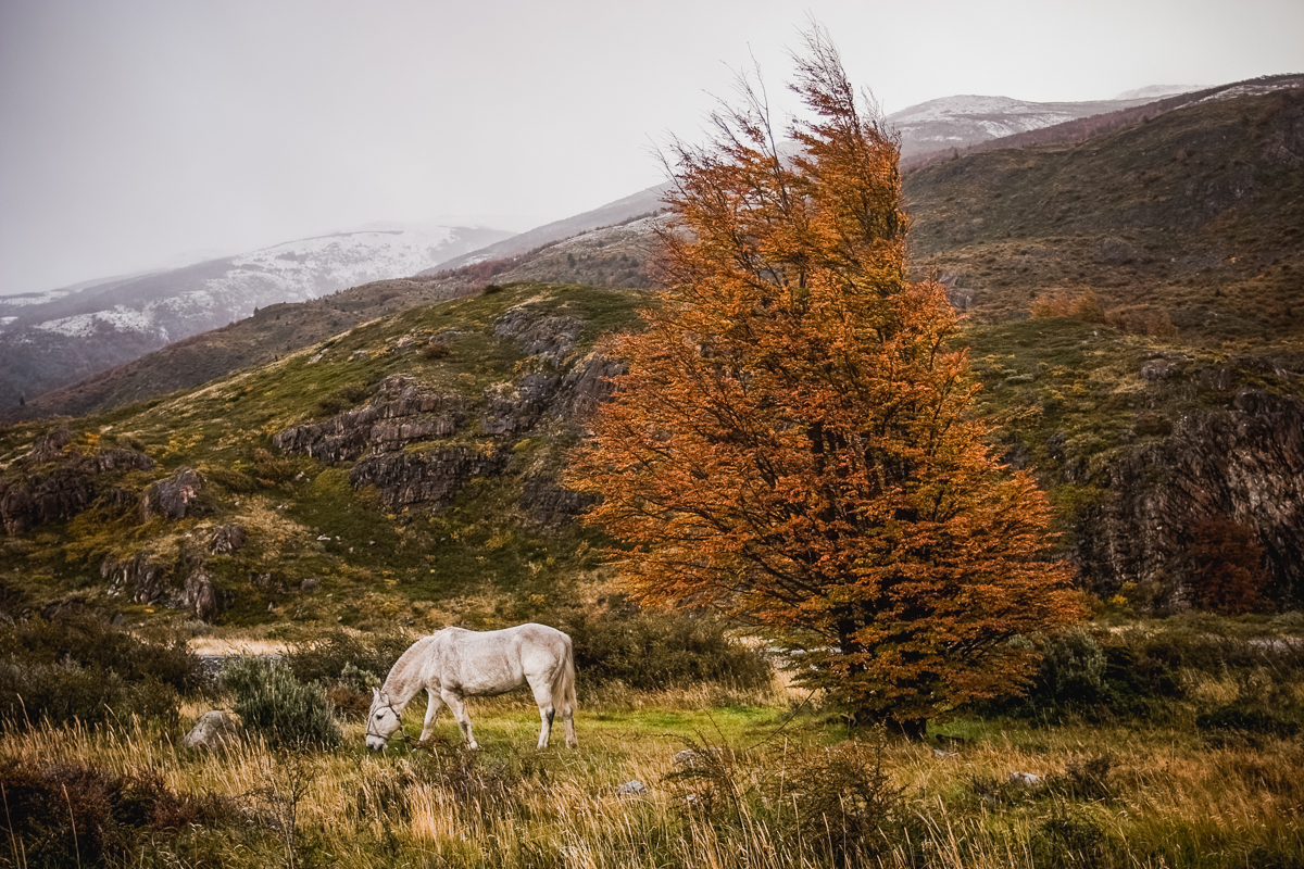CRW_8365-Edit.jpg