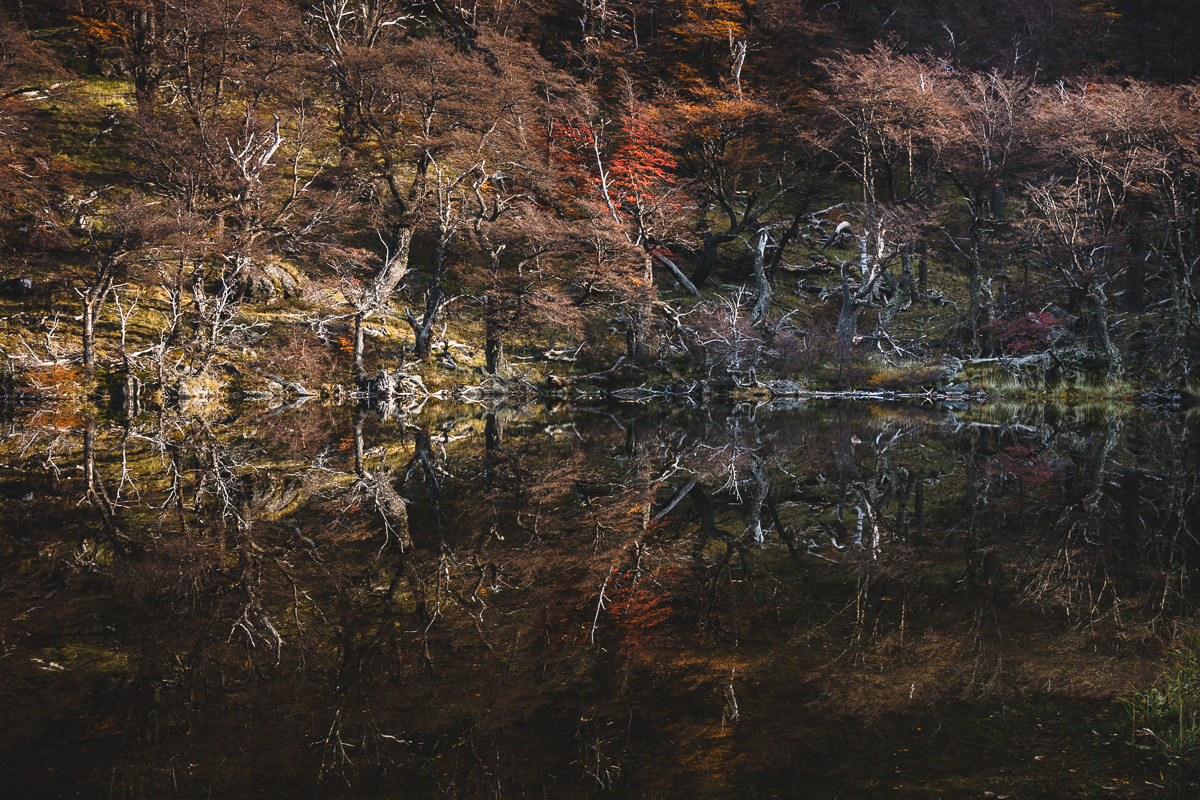  Reflection in a lake on the way to Mt. Cerro Torre, El Chaltén. 