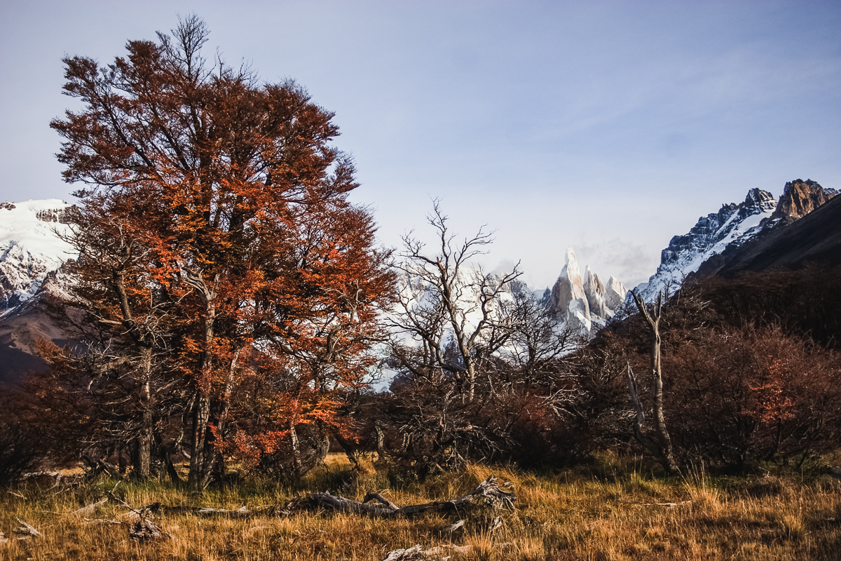 Mt. Cerro Torre in the distance.