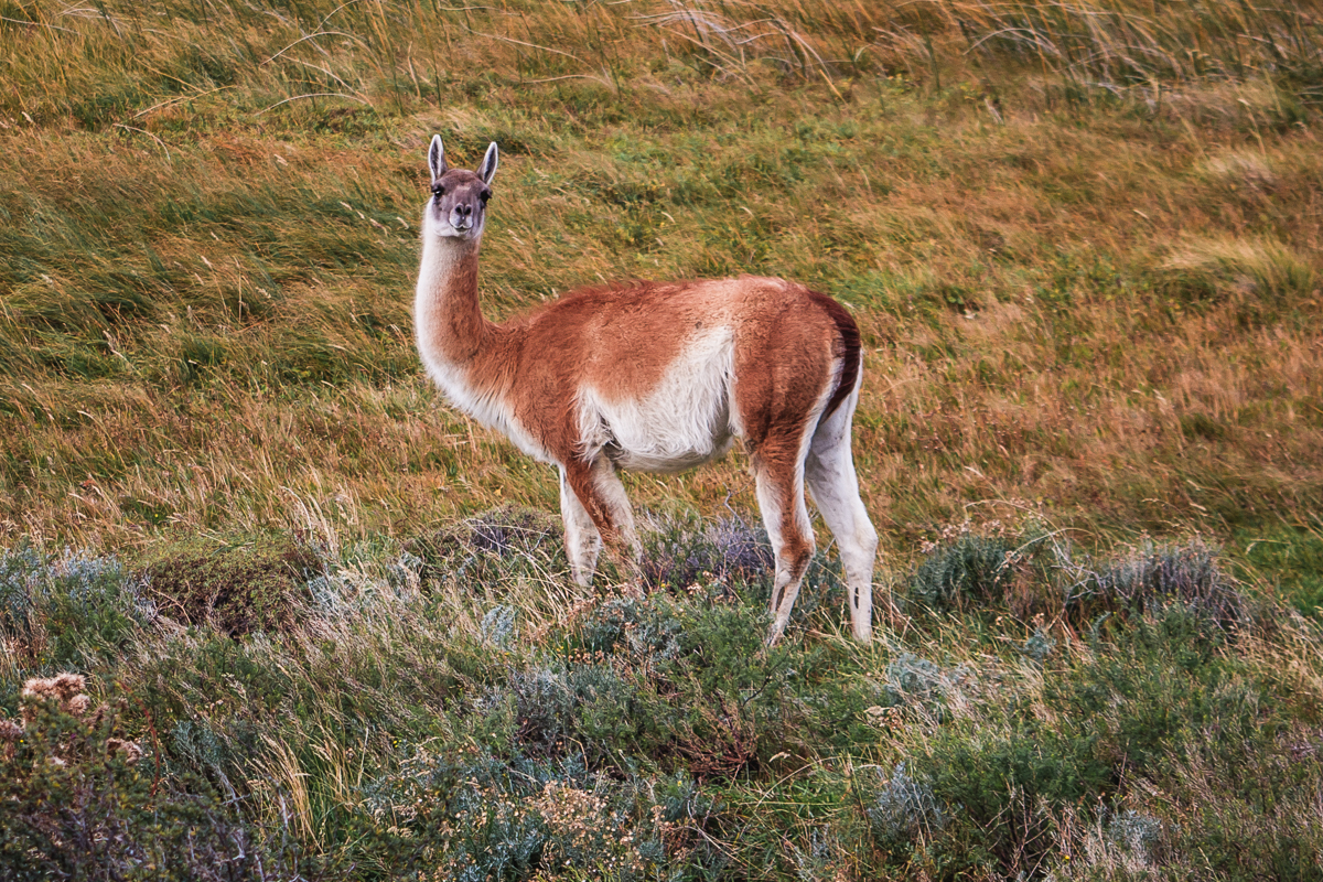CRW_8407.jpg