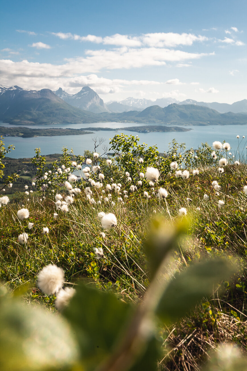  Meløy, Norway 2016. 