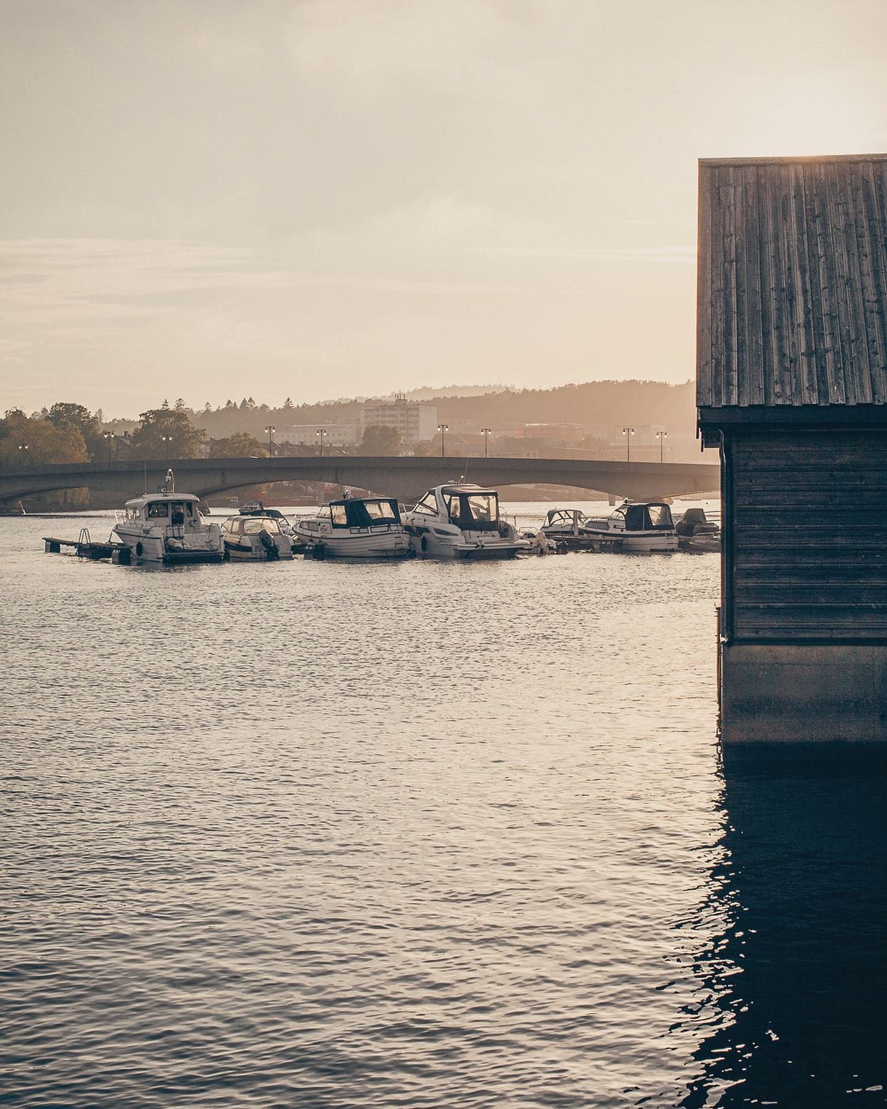 Long, Scandinavian summer nights 💛