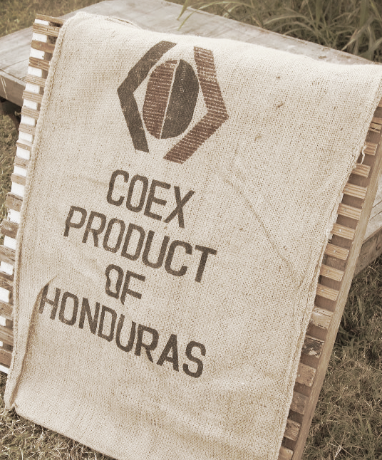 coexlogo.jpg