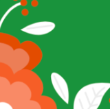 Screen Shot 2019-01-21 at 10.51.49 AM.png