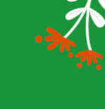 Screen Shot 2019-01-21 at 10.51.56 AM.png