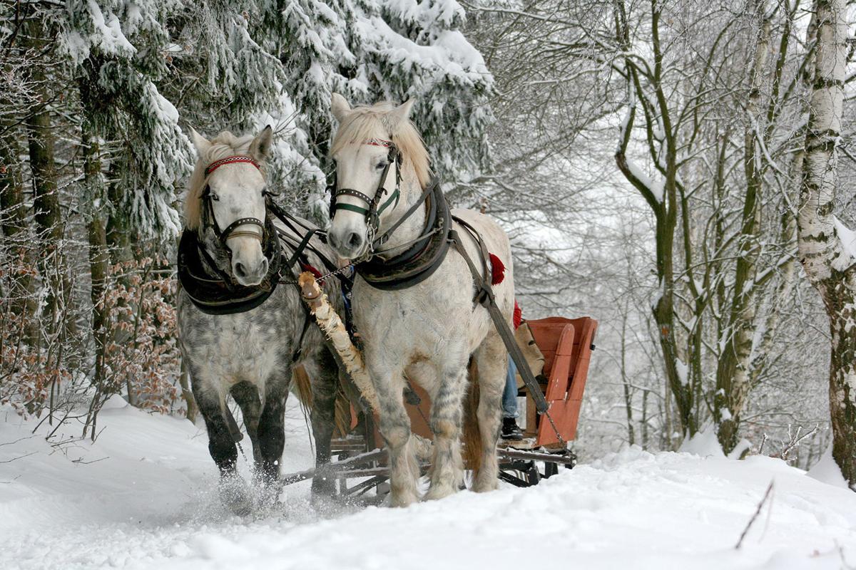 Sleigh bells ring...