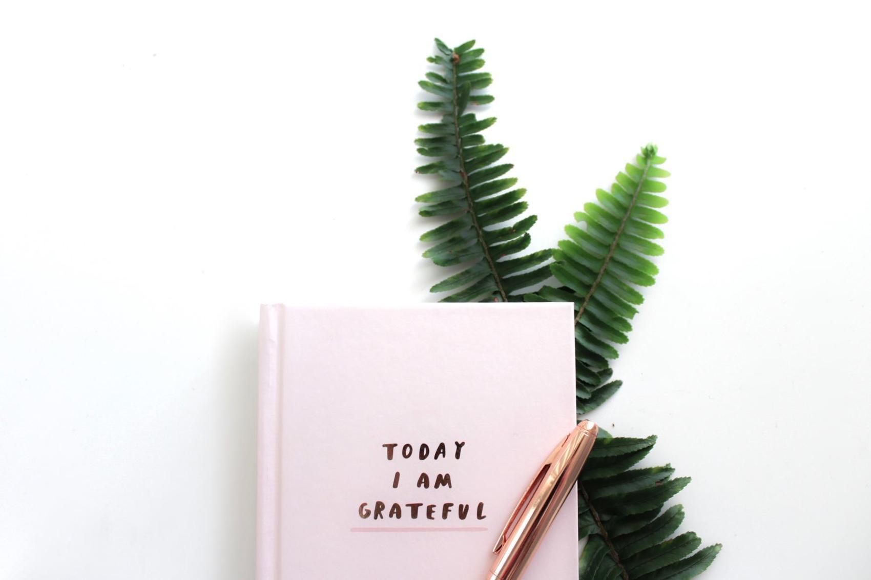 Rise: Gratitude for adversity