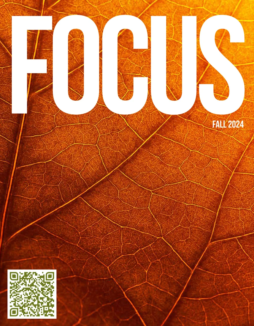 FOCUS magazine Fall 2024 cover designed by Frances Eugenia Collazo