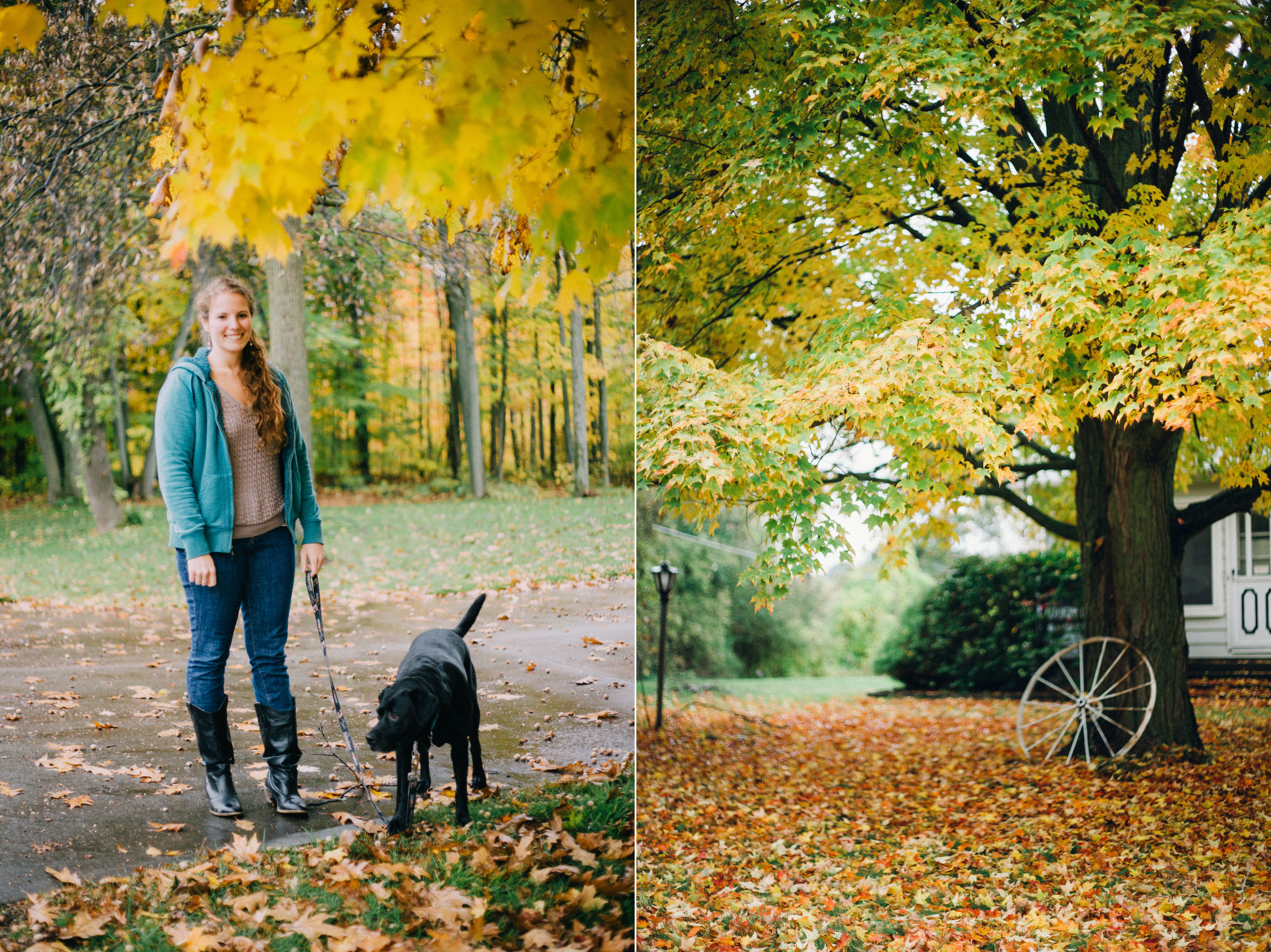 michiganfall2014diptych2.jpg