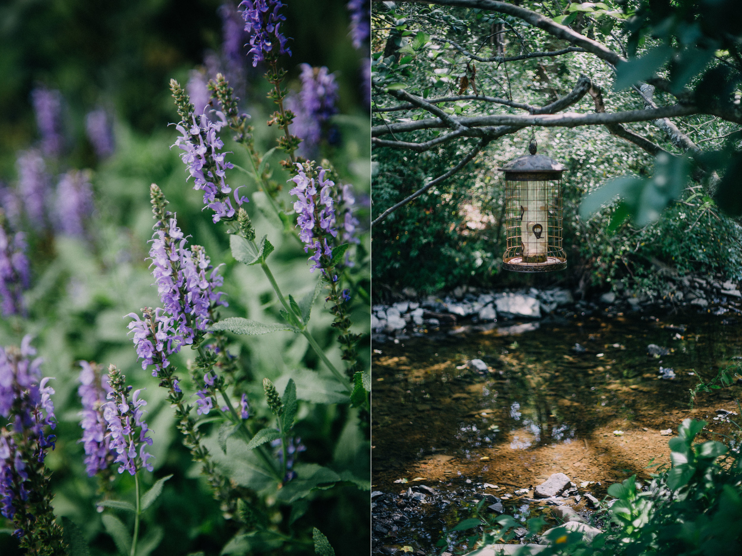 katie+todd-diptych1.jpg