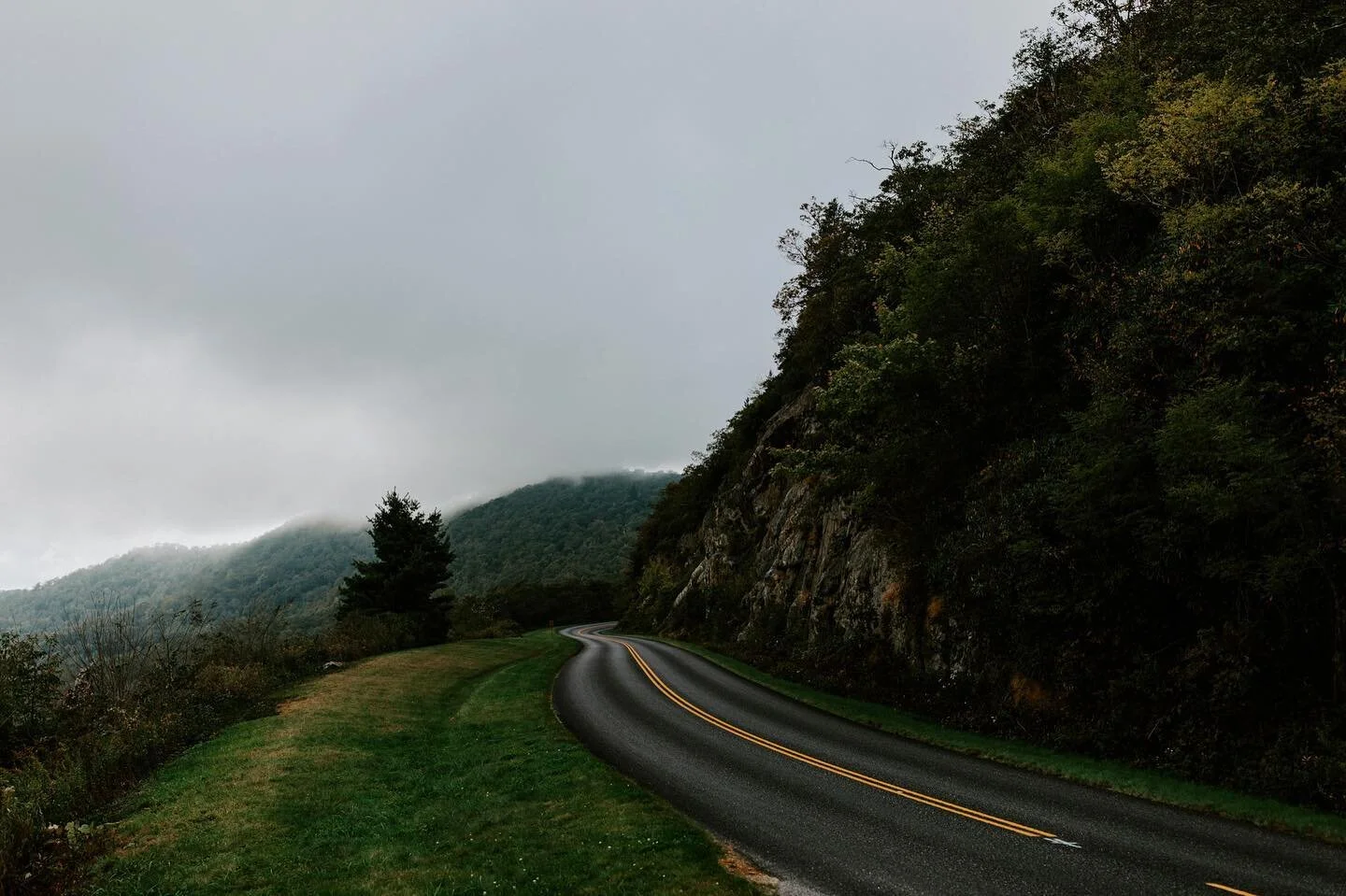 What would you be listening to on a foggy drive through the mountains?! *plays anything by death cab or bon ivor every single time* drop your favorites so I can make a new rainy day mountain playlist 🌬✨
