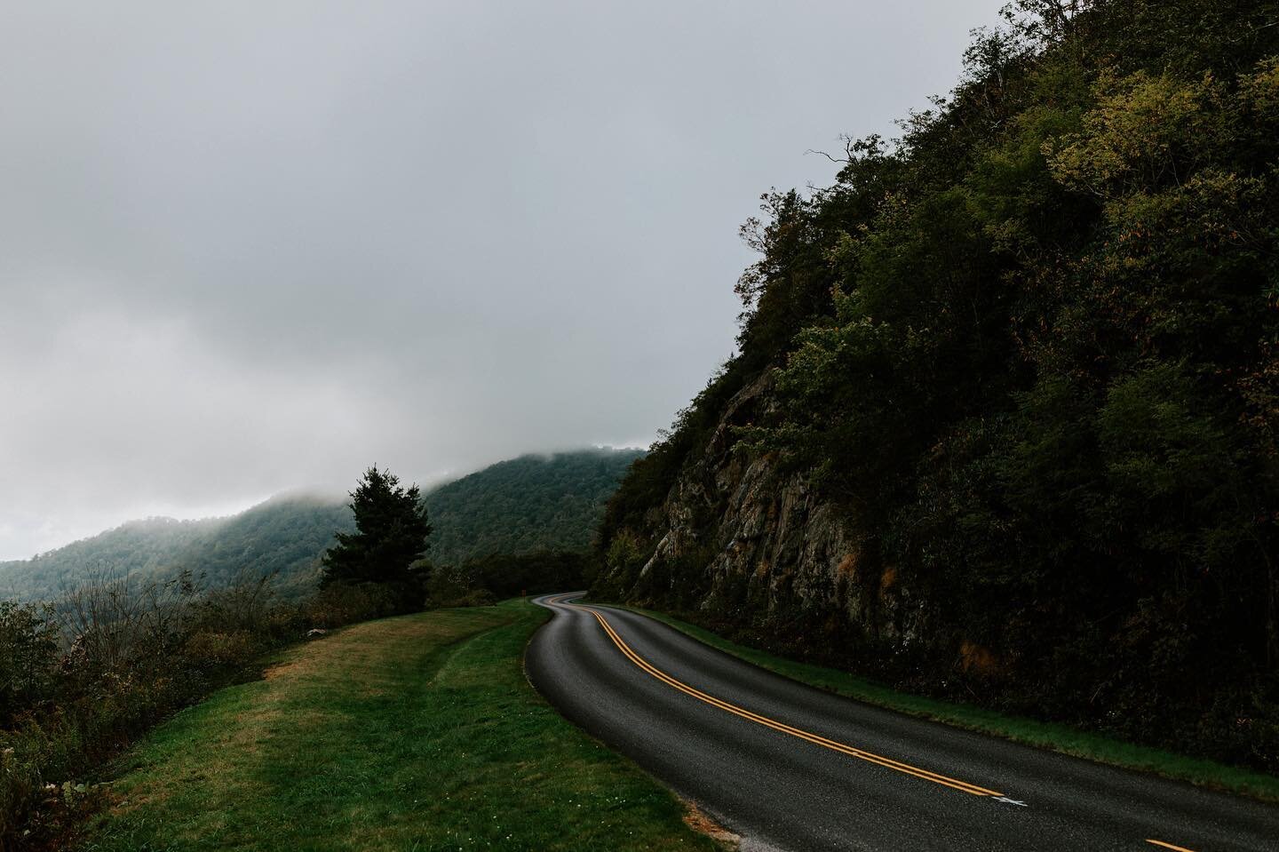 What would you be listening to on a foggy drive through the mountains?! *plays anything by death cab or bon ivor every single time* drop your favorites so I can make a new rainy day mountain playlist 🌬✨
