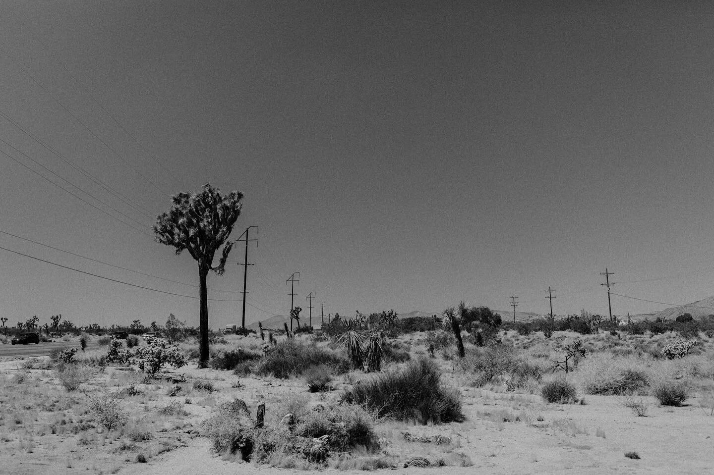 wishing I was melting in the desert today 🌵