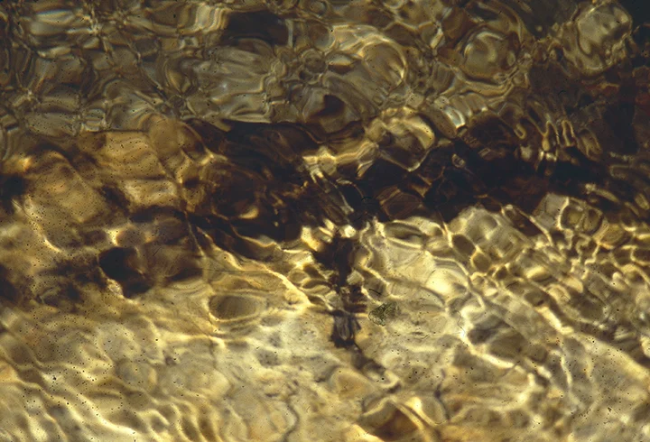 GOLD WATER.jpg