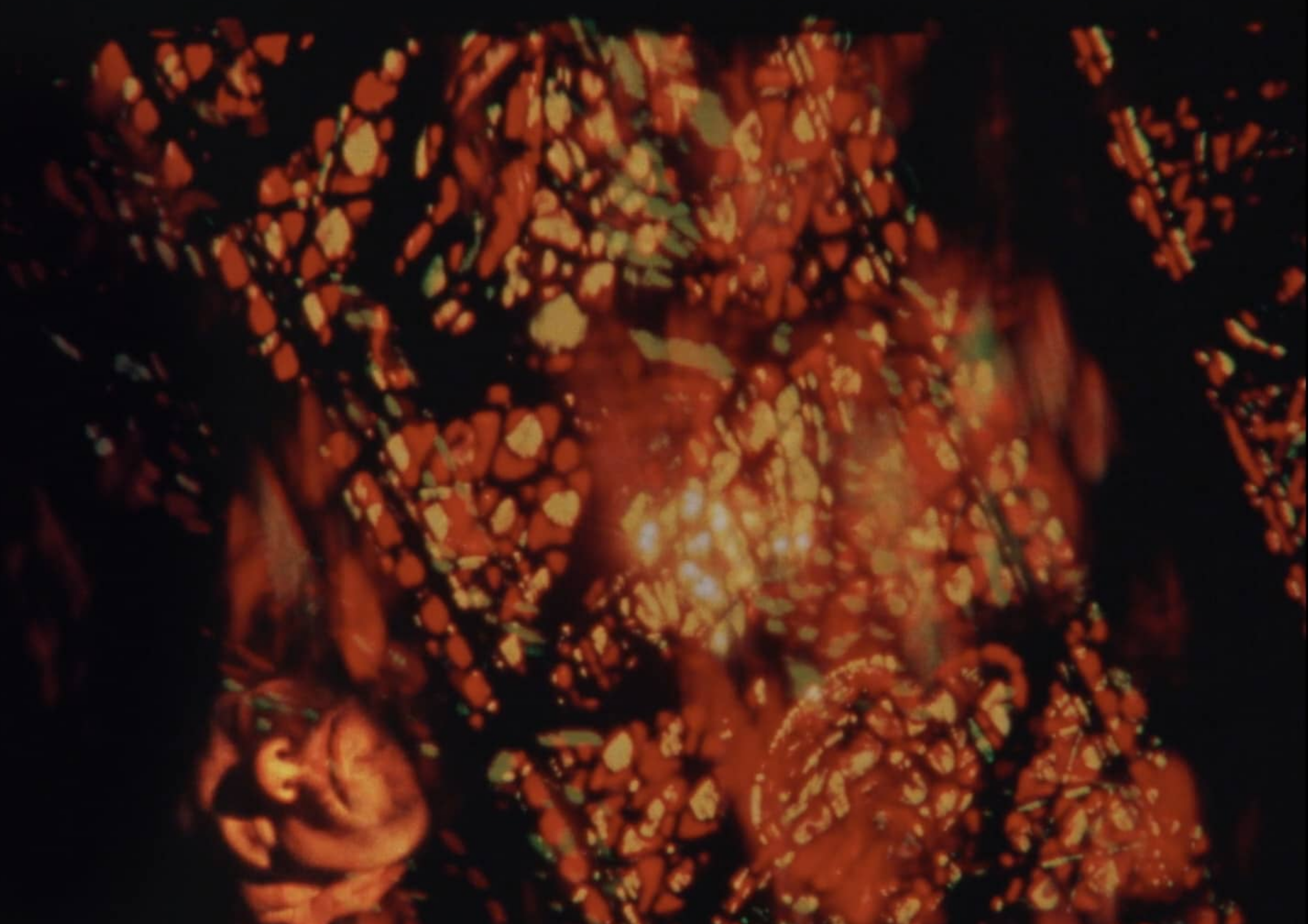 Screen Shot 2019-08-04 at 11.04.39 PM.png