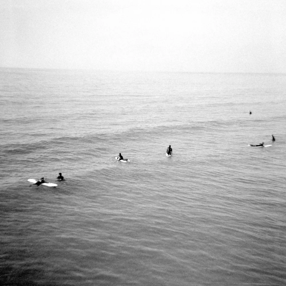 20090127_cali_film_17190008.jpg