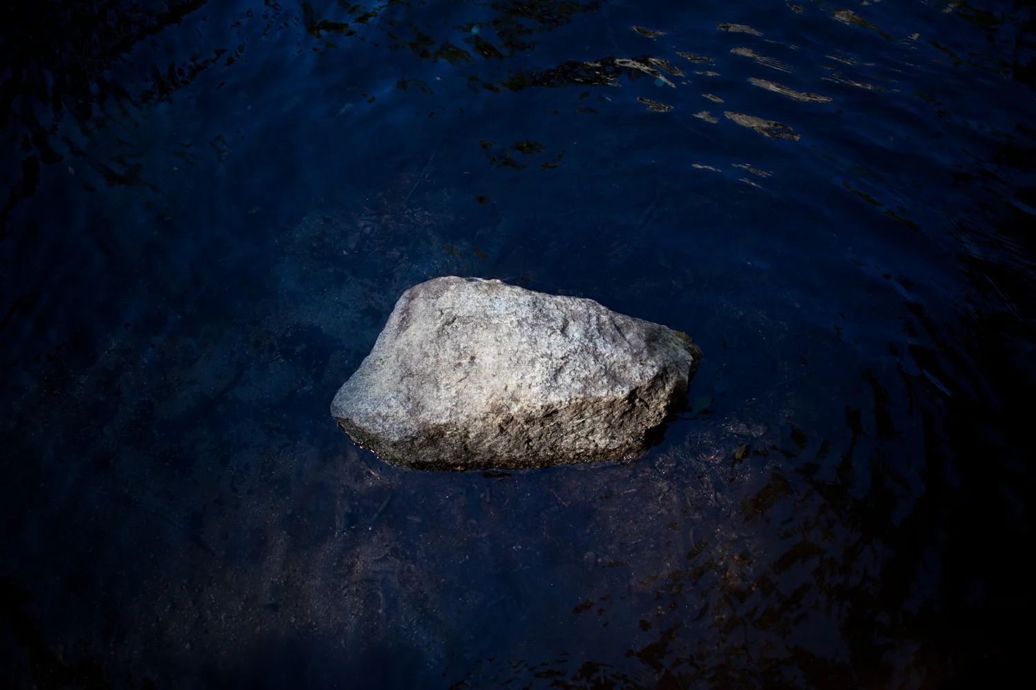 20140818_kingscanyon_041.jpg