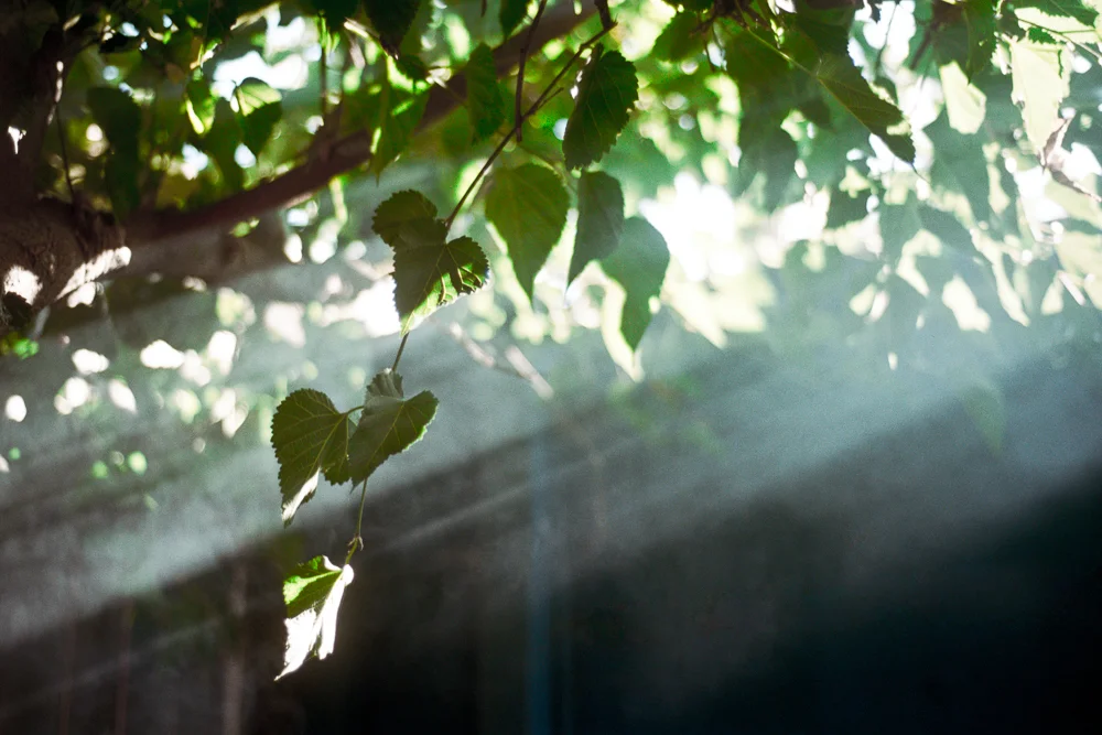 20120714_TIARABDAY_8545_009-Edit.jpg