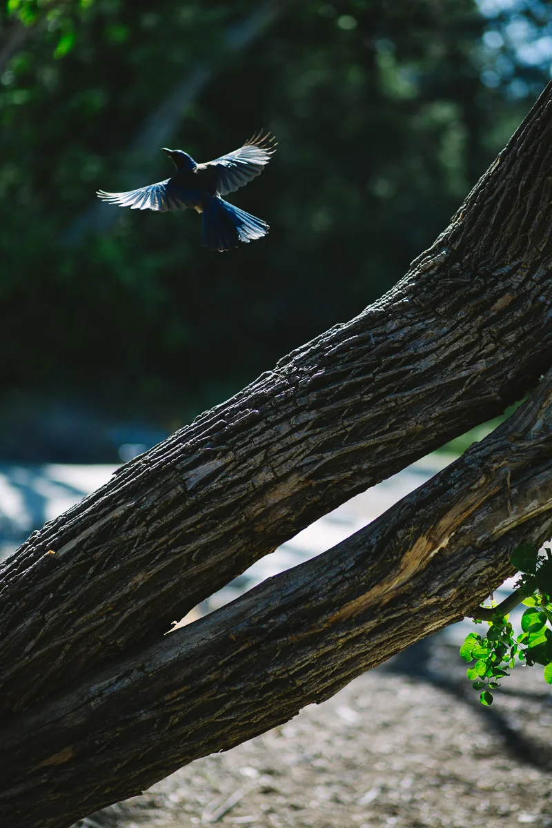 20190417_test_maura_137.jpg