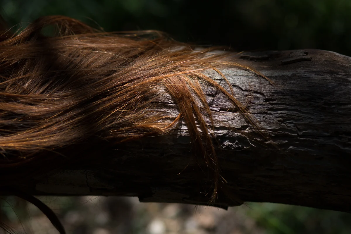 20190417_test_maura_760.jpg