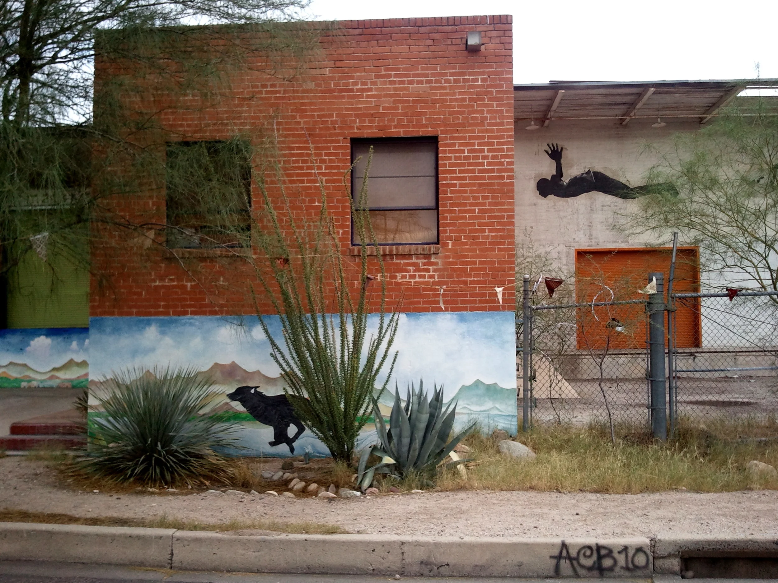 Tucson, Arizona Photo Credit: Shiloh Walkosac