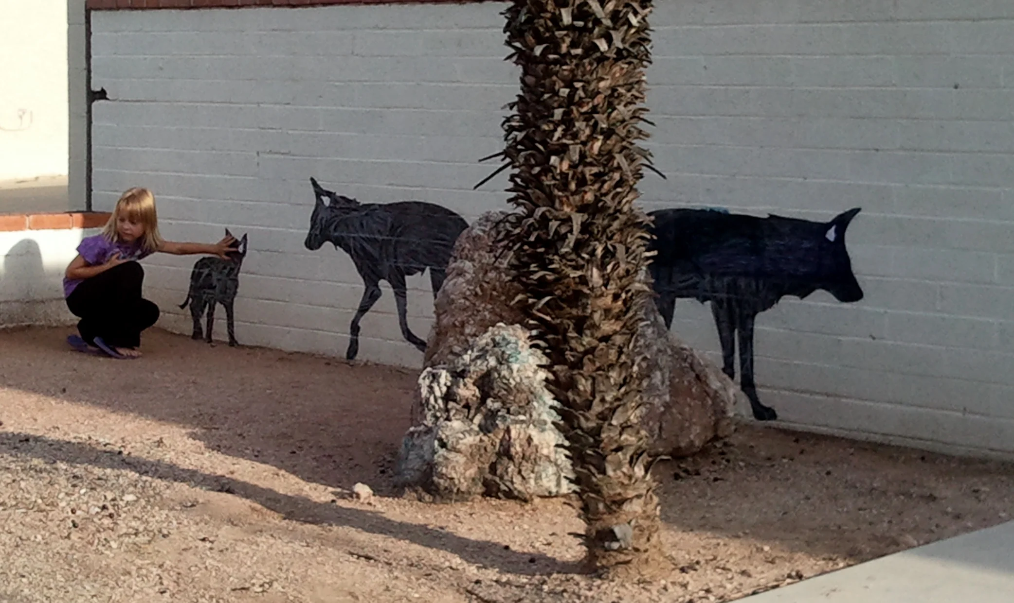 Tucson, Arizona Photo Credit: Shiloh Walkosac