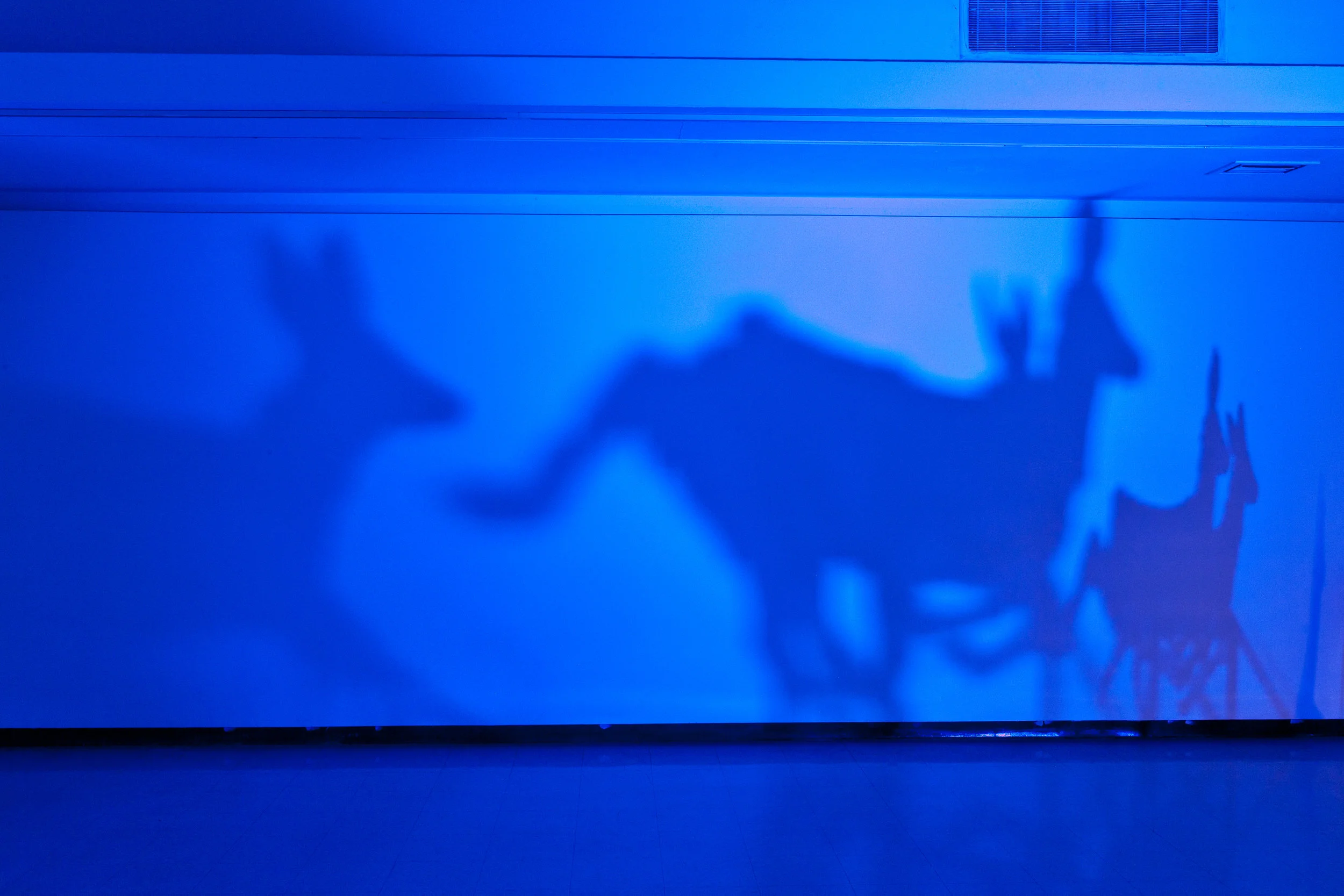 Encounter , Installation view: Harry Wood Gallery, Arizona State University, Tempe, Arizona, 2011 Photo Credit: Joshua White