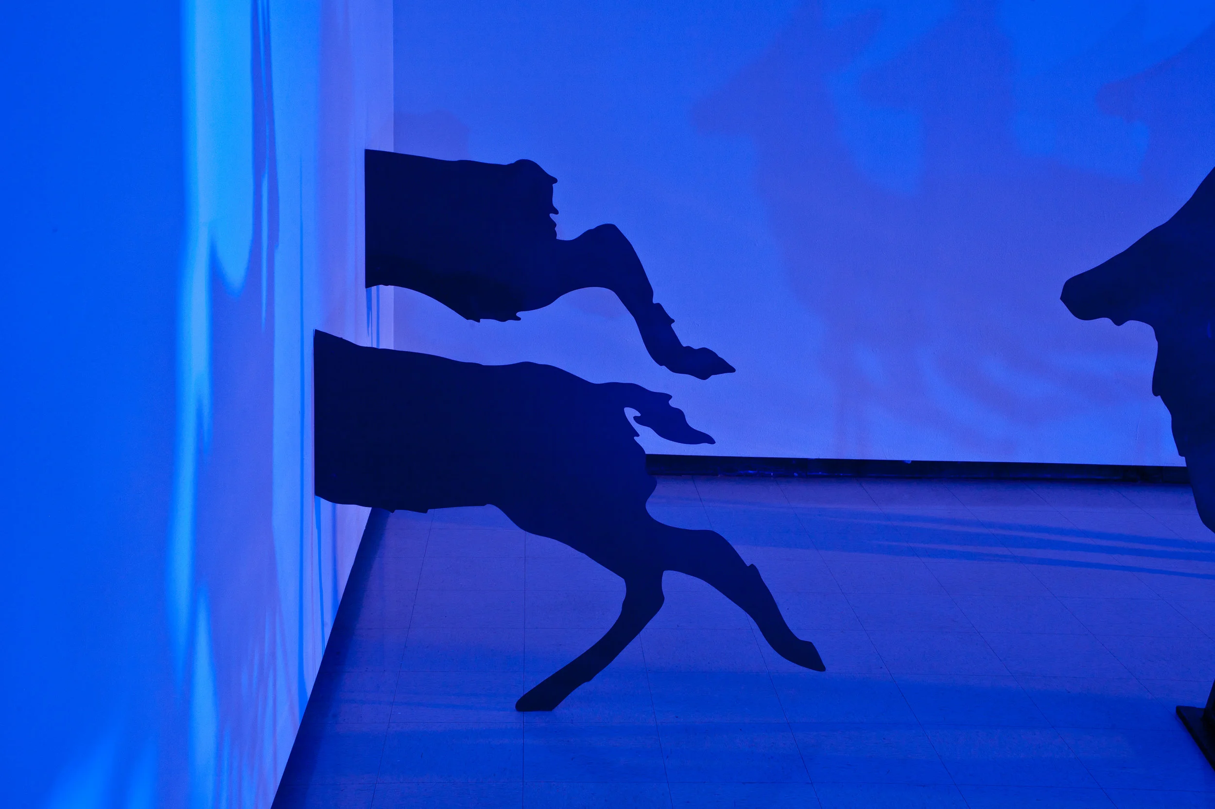 Encounter , Installation view: Harry Wood Gallery, Arizona State University, Tempe, Arizona, 2011 Photo Credit: Joshua White